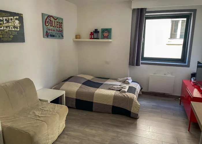 Spacieux Au Centre *